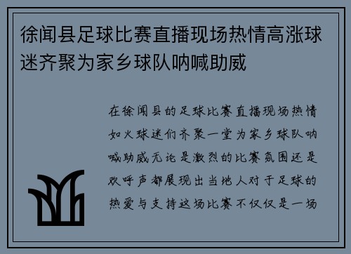 徐闻县足球比赛直播现场热情高涨球迷齐聚为家乡球队呐喊助威